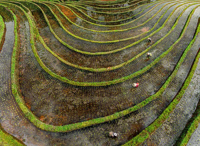 2ND_4_Chin Leong_Teo_IAPOTY26